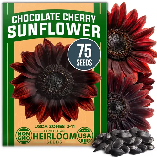 Vista 10 de HOME GROWN Semillas de zinnia rosa – 300 zinnias Luminosa 0.5g, semillas anuales de flores fáciles de cultivar para plantar al aire libre para 2026