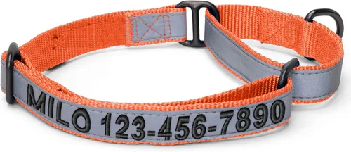 Vista 16 de Pawtitas Collar de perro Martingala personalizado reflectante reflectante bordado nombre personalizado número de teléfono ajustable para cachorros
