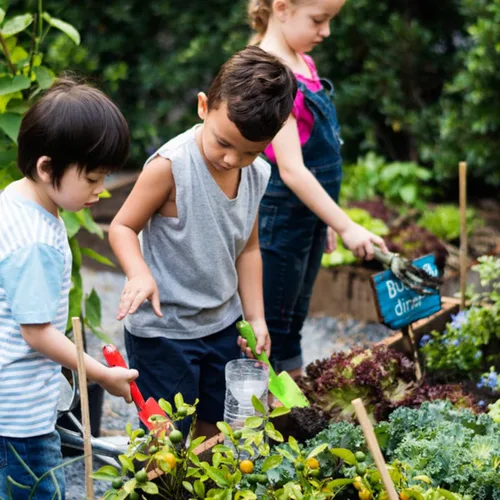Vista 6 de Palas de mano de jardín de metal con paleta colorida, 10 herramientas de jardín para niños, adolescentes, adultos, plantación de suelo, caja de arena