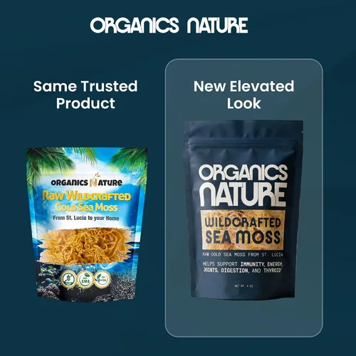 Vista 3 de Organics Nature Musgo marino crudo silvestre Orgánico silvestre artesanal y certificado sin OMG Aprobado por Dr. Sebi Haz 5 frascos de gel