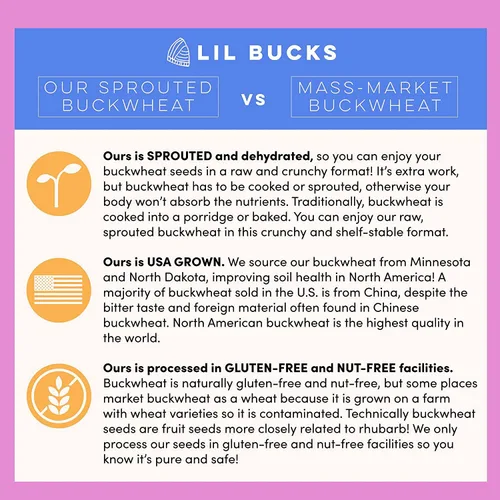 Vista 5 de Lil Bucks Clusterbucks - Clusters de superalimentos sin granos hechos con trigo sarraceno germinado y adaptógenos, bocadillos sin gluten