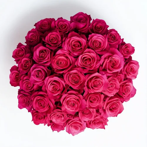 Vista 25 de GlobalRose Ramo de 50 rosas surtidas, rosas de origen responsable, flores frescas, ramo fresco de flores seleccionadas a mano para el día