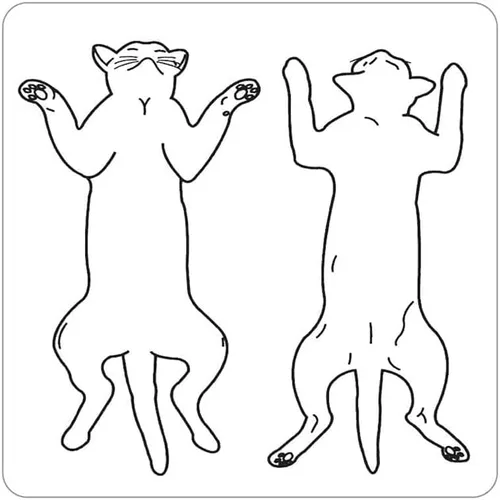 Vista 13 de Examen físico canino veterinario, Doctor Stuff Veterinarian Stickers, 2-1/2" x 2-1/2", Blanco, 240/Roll, Tabbies Vet V-AN315