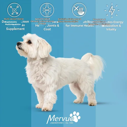 Vista 5 de Mervue Multivitamínico + Apoyo Inmunológico para Perros