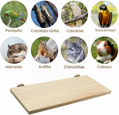 Vista 6 de Litewoo Estante grande de madera para perca de loro, 1 unidad
