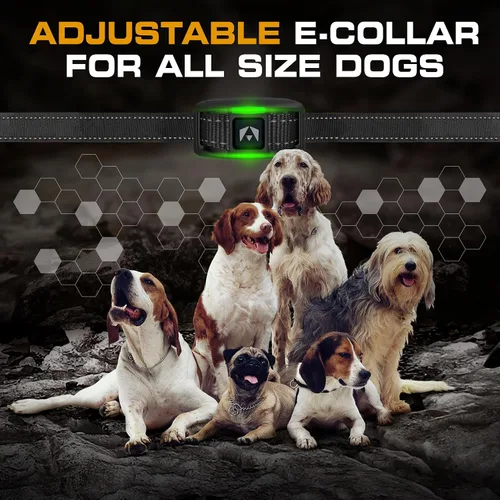 Vista 7 de INVIROX Collar de entrenamiento para perros con control remoto, collar de choque de 123 niveles para perros, rango de 1100 yardas, sistema