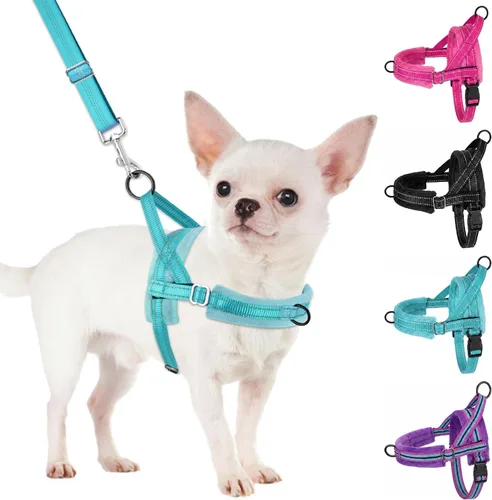 Vista 15 de SlowTon - Juego de arnés y correa para perros pequeños sin tirones, chaleco suave ajustable para cachorros para el cuello y el pecho, arnés