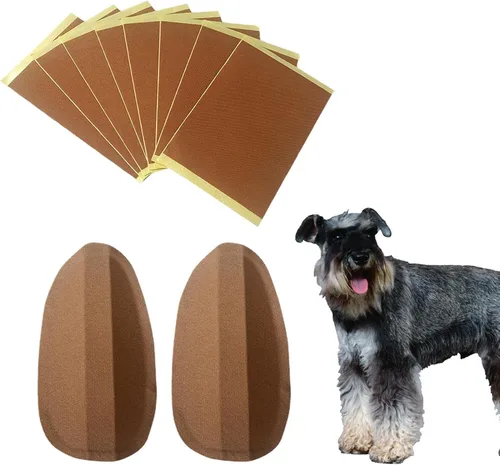 Vista 9 de Soporte de pie para orejas de perro, kit de publicación de orejas de perro, soporte de corrección de orejas de perro Herramienta fija de pie
