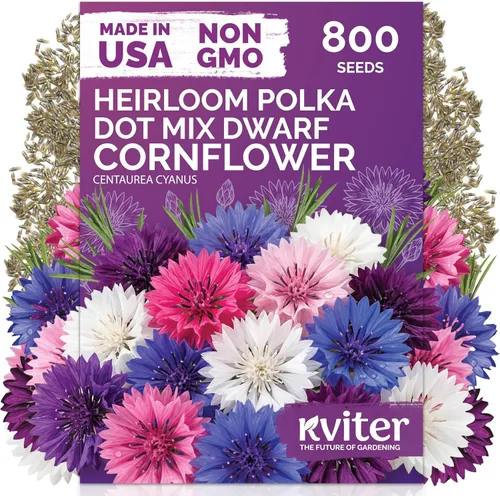 Vista 78 de 500 Ball's Orange Calendula Heirloom Flower Seeds, Calendula Officinalis