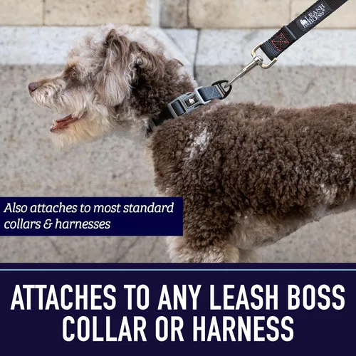 Vista 7 de Leash Boss Correa para perro de 10 pies con mango acolchado, correa larga para senderismo, campamento, explorar o caminar (10 pies, negro/rojo/gris)