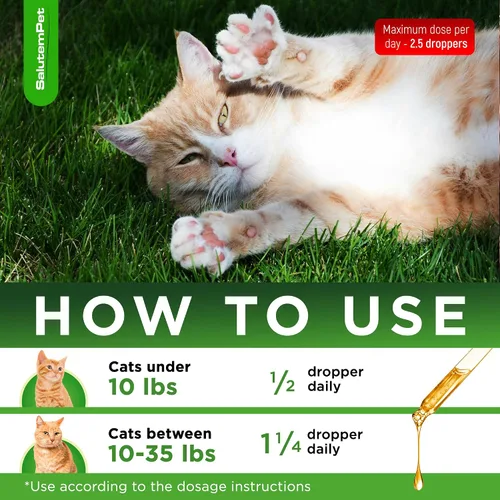 Vista 5 de Antibiótico para gatos para infecciones, ITUs, momentos respiratorios, resfriado y alergias Antibióticos para gatos de todas las edades y razas