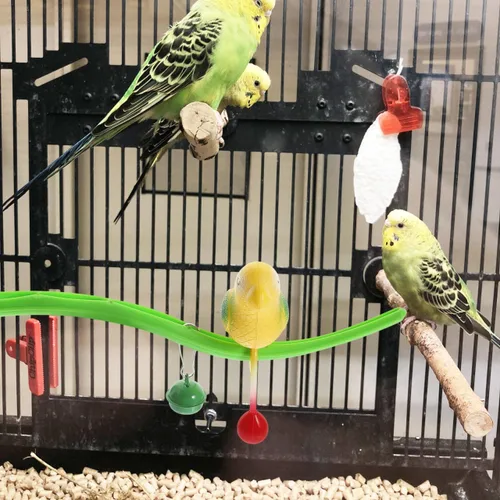 Vista 2 de POPETPOP Swing Bird Model Bird Perch Toy Plastic Cage Stand Simulation Fake Cage Toy Periquitos Perca Divertidas Burlas para cacatúas Cacatúas
