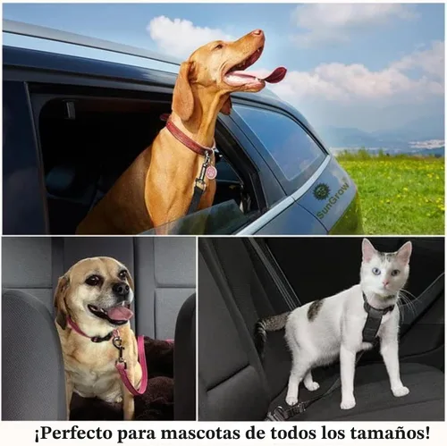 Vista 8 de SunGrow Cinturón de seguridad para perro para automóvil, cinturón de seguridad ajustable de nailon para mascotas, compatible con todos