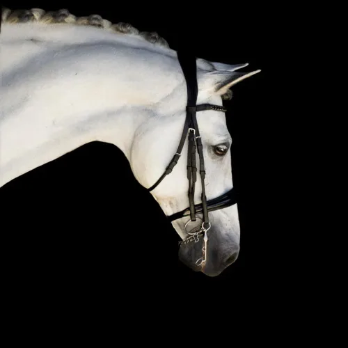 Vista 2 de Audrey' Brida de Cuero de Lujo - (Doble) Black Warmblood