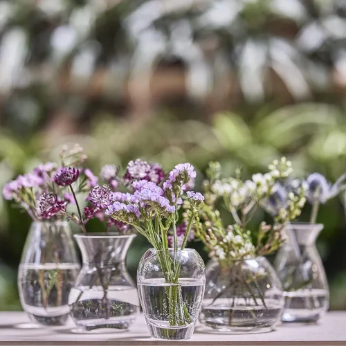 Vista 7 de CHIVE "George" - Jarrones de Botella de Cristal para Flores, juego de 6, pequeños y elegantes jarrones de cristal transparente para capullos