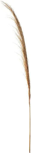 Vista 2 de Paquete de 6 bolsas de hierba de las pampas de rubor seco, 10 piezas por bolsa, 24 pulgadas de alto, césped decorativo para hoteles, restaurantes