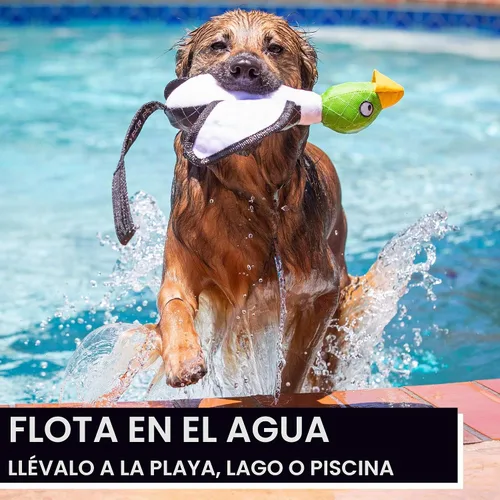 Vista 3 de Hyper Pet Serie Voladora de Juguetes Interactivos para Perros - Gran Lanzador de Patos con Funda para Perros que Flota en el Agua