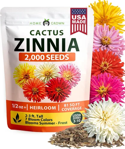 Vista 41 de HOME GROWN Bachelor Button Tall Mix 700+ Semillas de flores Centaurea