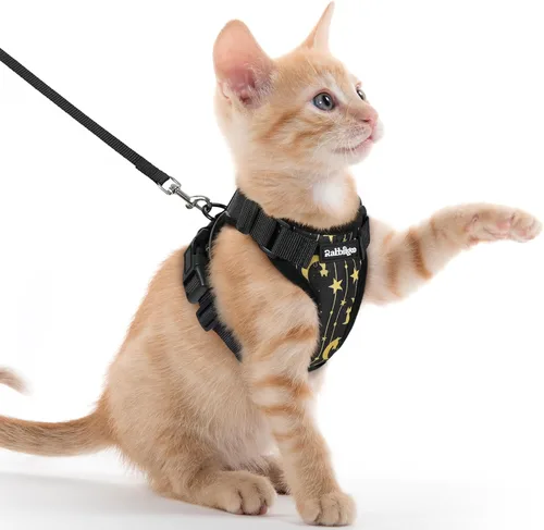 Vista 69 de rabbitgoo Cat Harness and Leash Set, Escape Proof Vest, Berry Pounce Soft Breathable Mesh, Easy Adjustable Fit, Snap Buckles, Sturdy Clip