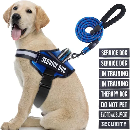 Vista 22 de Juego de Chaleco y Correa para Perro de Servicio, Arnés de Entrenamiento Animire para Perro con 10 Parches para Perros, Correa Reflectante