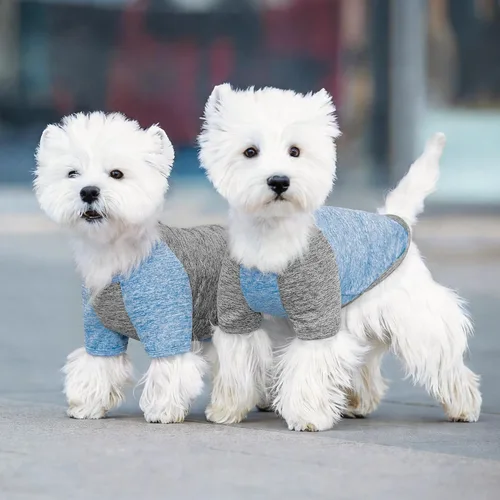 Vista 6 de KYEESE Paquete de 2 camisas para perro con mangas, camisetas ligeras de protección solar de secado rápido para perros pequeños con piel sensible