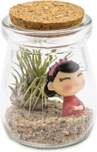 Vista 8 de Kit de terrario de 3 pulgadas con mini tarro de vidrio de Tillandsia Ionantha vivo, arena, vidrio marino de colores y figura miniatura para jardines