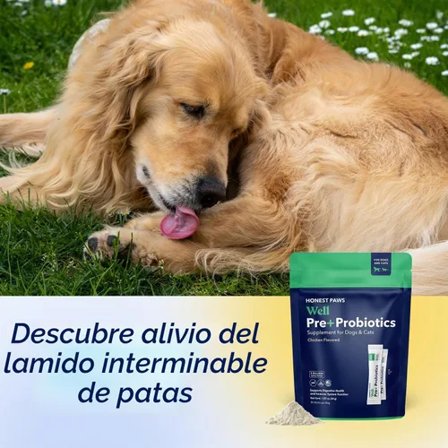 Vista 6 de Honest Paws - Probióticos para Perros - Polvo de Apoyo Digestivo e Inmunológico con Prebiótico Hecho en EE. UU., Sabor a Pollo (30 Sticks)
