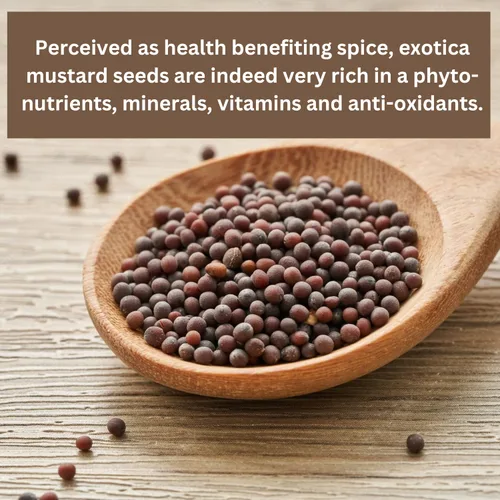 Vista 5 de Organic Herbs - Semillas de mostaza negra Semillas de mostaza negra enteras para cocinar Semillas de mostaza negra de cocina india Semillas