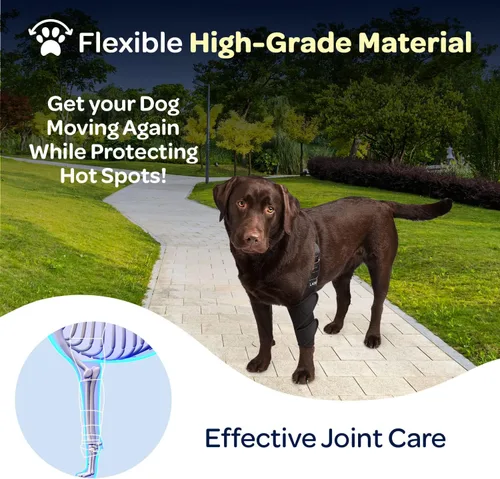 Vista 5 de Labra Dog Canine K9 - Soporte para aliviar el dolor de callos en el hombro y codo de hombro, protector de masticación de heridas de higroma