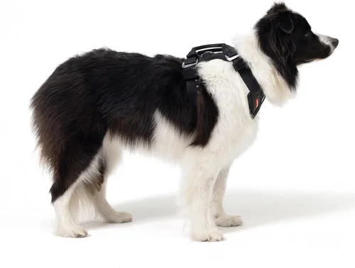 Vista 6 de EzyDog Arnés de coche Drive Dog, probado en choques y certificado, mediano