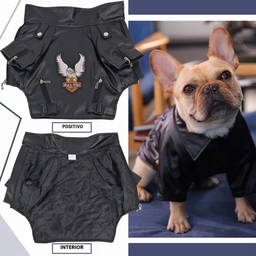 Vista 3 de Abrigo de invierno cálido para perros pequeños y medianos, chaqueta impermeable y resistente al viento para cachorros, ropa de cuero para mascotas