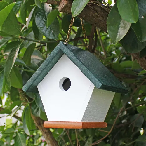 Vista 9 de Casa colgante Wren: Casa de pájaros verde bosque hecha de madera de poliéster ecológica