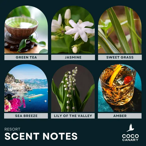 Vista 3 de Coco Canary Difusores de varillas de 6.7 onzas para el hogar, centro turístico, aroma floral de larga duración, té verde y jazmín, brisa floral