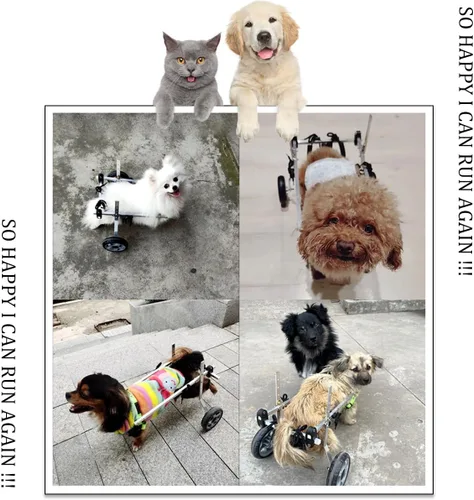 Vista 2 de Silla de ruedas para perro, silla de ruedas para mascotas de 2 ruedas, silla de ruedas ajustable para patas traseras discapacidad, parálisis