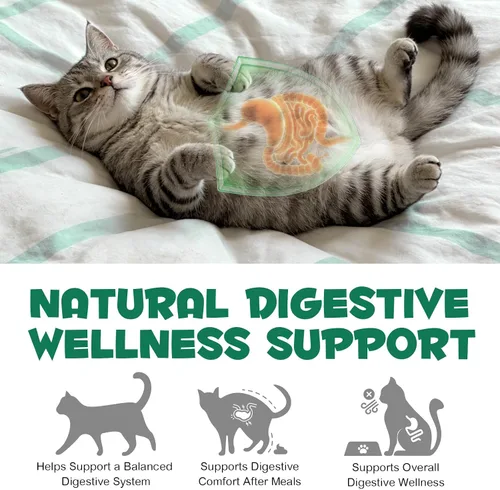 Vista 8 de ALIVO Polvo de carbón activado para perros, gatos, suplemento de salud en polvo de carbón activado, apoya el bienestar digestivo y la frescura oral