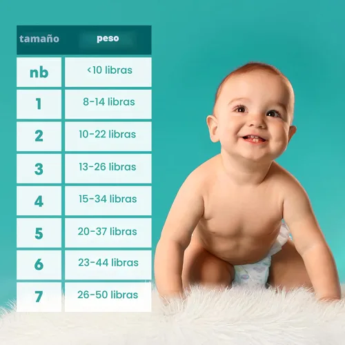 Vista 8 de Pampers Pañales Secos para Bebés Tamaño 6-21 ct