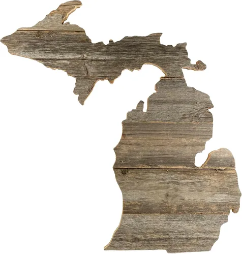 Vista 59 de Letrero de madera rústica de Alabama para casa de campo, decoración del hogar de pared estatal, es un gran regalo temático de AL para recién
