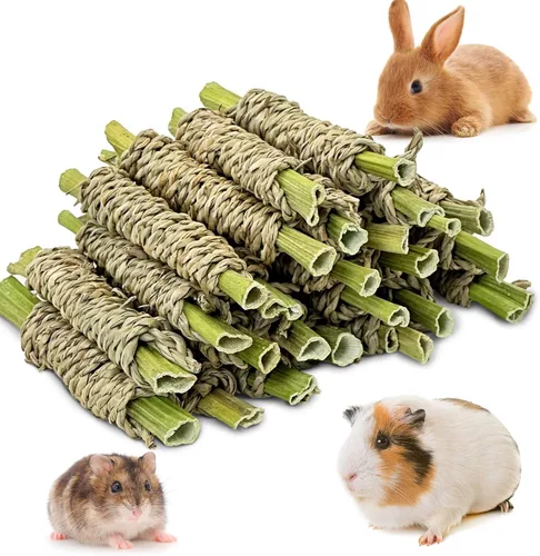 Vista 8 de Fhiny 12 piezas de juguetes masticables de conejillos de indias, ramas de manzana, hierba marina, palitos molares para dientes, conejito masticable
