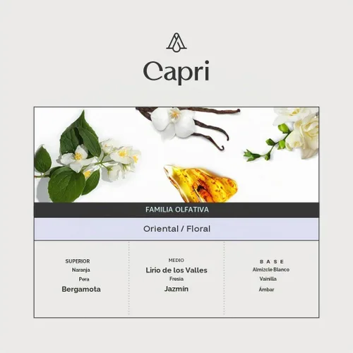 Vista 3 de AromaPlan Hotel, Aromas de Lujo para el Hogar, Capri 5.07 Fl Oz (150ml) Fragancia para Difusor de Aire Frío y Sin Agua Aroma de Lujo
