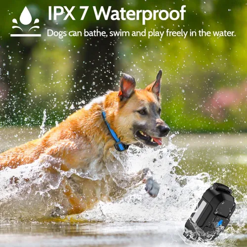 Vista 2 de Collar eléctrico de entrenamiento para perros con 4 modos de entrenamiento y control remoto recargable, rango impermeable de 3300 pies para perros