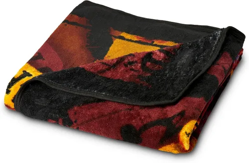 Vista 3 de Northwest Manta de micro Raschel de Harry Potter, ligera y transpirable para sofá, acogedora para todas las estaciones, 46 x 60 pulgadas, bandera