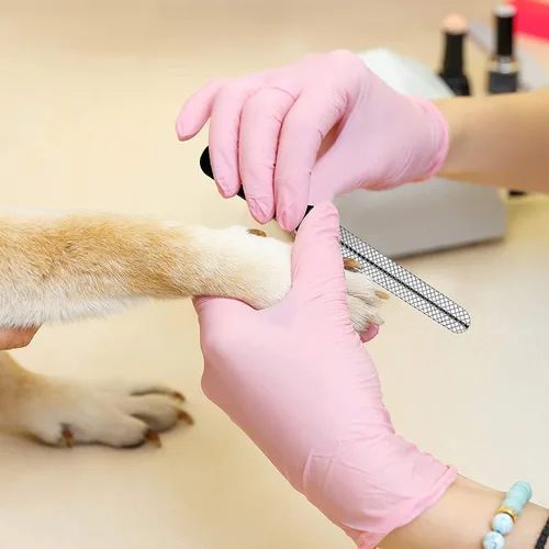 Vista 6 de Rastrillo de aseo para mascotas para perros y gatos, kit de aseo