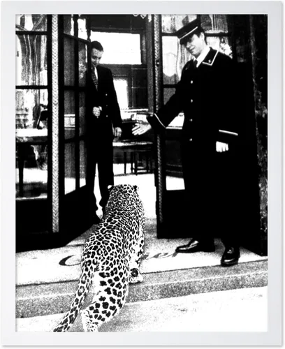 Vista 26 de Poster Master Póster de leopardo – Pantera en impresión de boutique de moda – Arte de fotografía – Arte animal – Arte en blanco y negro – Arte