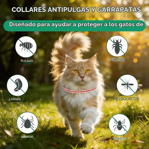 Vista 2 de Collar antipulgas para gatos, tratamiento de pulgas y garrapatas de gato