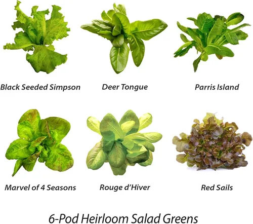Vista 5 de AeroGarden - Kit de semillas de lechuga romana mixta, 6 cápsulas