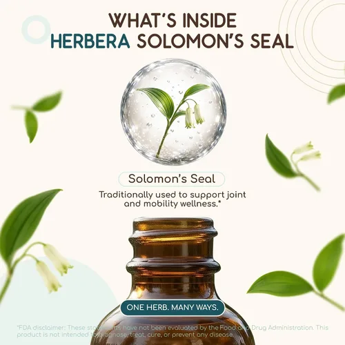 Vista 4 de HerbEra Solomon's Seal B60 - Tintura de extracto de hierbas sin alcohol, gotas líquidas concentradas, sello de Salomón natural