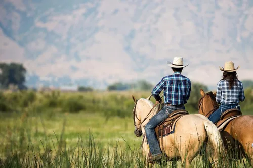 Vista 8 de Retro Rodeo Wild Cowboy Hat - Sombrero de vaquero unisex del oeste para hombre y mujer