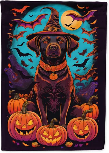 Vista 76 de Caroline's Treasures DAC1466GF - Bandera decorativa para jardín de Halloween de Affenpinscher Witchy para jardín, decoración para patio exterior