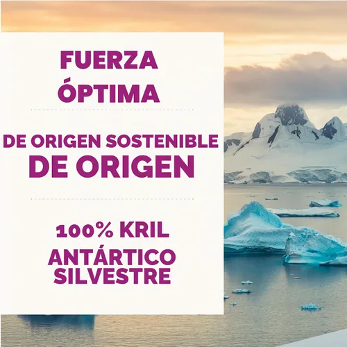 Vista 5 de Grizzly Wild - Suplemento antioxidante natural de aceite de krill antártico para perros, 8 onzas