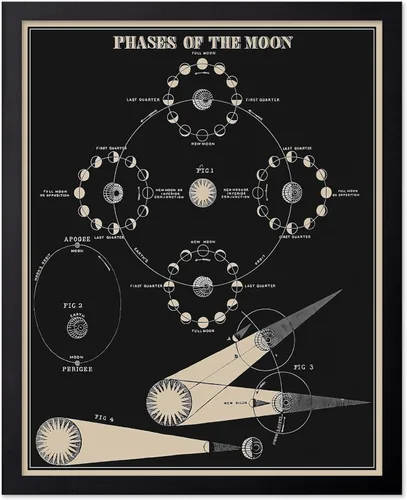 Vista 59 de Poster Master Póster esotérico de H. Butler - Arte de pared en blanco y negro, astronomía antigua y diagrama celestial, regalo para fanáticos